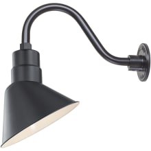 RLM 1 Light Outdoor Wall Sconce with 10" Wide Angle Shade and 14.5" Gooseneck Stem