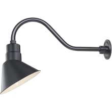 RLM 1 Light Outdoor Wall Sconce with 10" Wide Angle Shade and 21.5" Gooseneck Stem