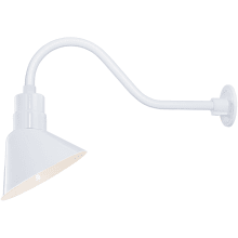 RLM 1 Light Outdoor Wall Sconce with 10" Wide Angle Shade and 21.5" Gooseneck Stem