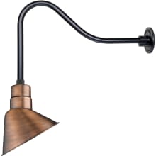 RLM 1 Light Outdoor Wall Sconce with 10" Wide Angle Shade and 23" Gooseneck Stem