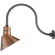 RLM 1 Light Outdoor Wall Sconce with 10" Wide Angle Shade and 24" Gooseneck Stem