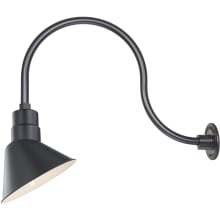 RLM 1 Light Outdoor Wall Sconce with 10" Wide Angle Shade and 24" Gooseneck Stem