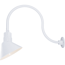 RLM 1 Light Outdoor Wall Sconce with 10" Wide Angle Shade and 24" Gooseneck Stem
