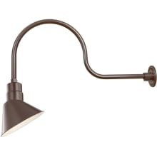 RLM 1 Light Outdoor Wall Sconce with 10" Wide Angle Shade and 30" Gooseneck Stem
