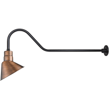 RLM 1 Light Outdoor Wall Sconce with 10" Wide Angle Shade and 41" Gooseneck Stem