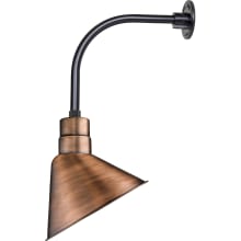 RLM 1 Light Outdoor Wall Sconce with 12" Angle Shade and 13" Gooseneck Stem