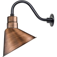 RLM 1 Light Outdoor Wall Sconce with 12" Angle Shade and 14.5" Gooseneck Stem