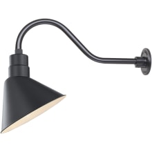 RLM 1 Light Outdoor Wall Sconce with 12" Angle Shade and 21.5" Gooseneck Stem