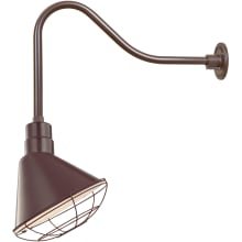 RLM 1 Light Outdoor Wall Sconce with 12" Angle Shade and 23" Gooseneck Stem