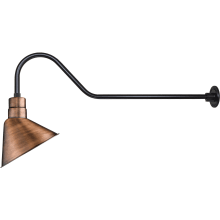 RLM 1 Light Outdoor Wall Sconce with 12" Angle Shade and 41" Gooseneck Stem