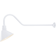 RLM 1 Light Outdoor Wall Sconce with 12" Angle Shade and 41" Gooseneck Stem