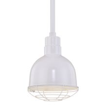 RLM 1 Light Outdoor Pendant with 10" Wide Bowl Shade and 12" Stem