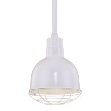 RLM 1 Light Outdoor Pendant with 10" Wide Bowl Shade and 24" Stem