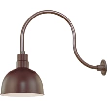 RLM 1 Light Outdoor Wall Sconce with 12" Wide Bowl Shade and 24" Gooseneck Stem