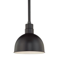 RLM 1 Light Outdoor Pendant with 12" Wide Bowl Shade and 24" Stem