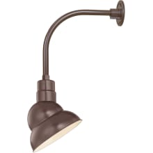 RLM 1 Light Outdoor Wall Sconce with 10" Wide Shade and 13" Gooseneck Stem