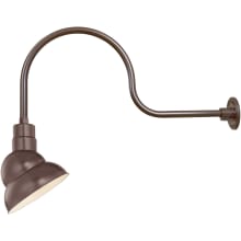 RLM 1 Light Outdoor Wall Sconce with 10" Wide Shade and 30" Gooseneck Stem