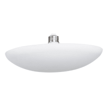 Single 24 Watt White Medium (E26) LED Bulb