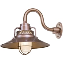 RLM 1 Light Outdoor Wall Sconce with 14" Wide Railroad Shade and 10" Gooseneck Stem