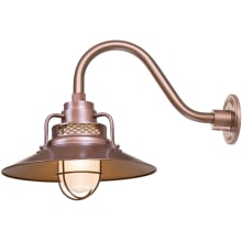 RLM 1 Light Outdoor Wall Sconce with 14" Wide Railroad Shade and 14.5" Gooseneck Stem