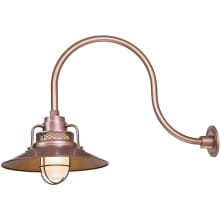 RLM 1 Light Outdoor Wall Sconce with 14" Wide Railroad Shade and 24" Gooseneck Stem
