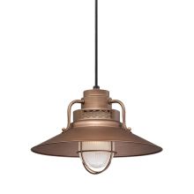 RLM 1 Light Outdoor Pendant with 14" Wide Railroad Shade and 12" Stem