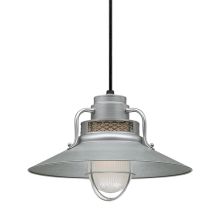 RLM 1 Light Outdoor Pendant with 14" Wide Railroad Shade and 12" Stem