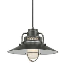 RLM 1 Light Outdoor Pendant with 14" Wide Railroad Shade and 24" Stem