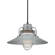 RLM 1 Light Outdoor Pendant with 14" Wide Railroad Shade and 36" Stem