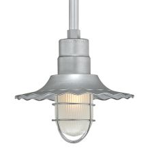 RLM 1 Light Outdoor Pendant with 12" Wide Radial Shade and 12" Stem