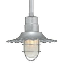 RLM 1 Light Outdoor Pendant with 12" Wide Radial Shade and 24" Stem