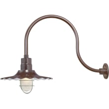RLM 1 Light Outdoor Wall Sconce with 15" Wide Radial Shade and 24" Gooseneck Stem