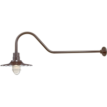 RLM 1 Light Outdoor Wall Sconce with 15" Wide Radial Shade and 41" Gooseneck Stem