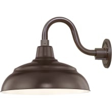 RLM 1 Light Outdoor Wall Sconce with 14" Wide Warehouse Shade and 10" Gooseneck Stem