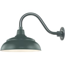RLM 1 Light Outdoor Wall Sconce with 14" Warehouse Shade and 14.5" Gooseneck Stem