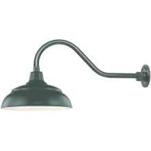 RLM 1 Light Outdoor Wall Sconce with 14" Warehouse Shade and 21.5" Gooseneck Stem
