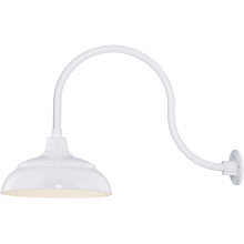 RLM 1 Light Outdoor Wall Sconce with 14" Warehouse Shade and 24" Gooseneck Stem