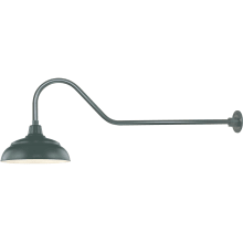 RLM 1 Light Outdoor Wall Sconce with 14" Warehouse Shade and 41" Gooseneck Stem