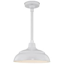 RLM 1 Light Outdoor Pendant with 14" Warehouse Shade and 36" Stem