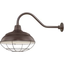 RLM 1 Light Outdoor Wall Sconce with 17" Warehouse Shade and 21.5" Gooseneck Stem