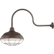 RLM 1 Light Outdoor Wall Sconce with 17" Warehouse Shade and 30" Gooseneck Stem