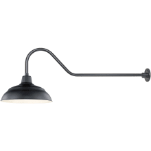 RLM 1 Light Outdoor Wall Sconce with 17" Warehouse Shade and 41" Gooseneck Stem
