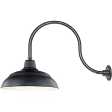 RLM 1 Light Outdoor Wall Sconce with 17" Warehouse Shade and 24" Gooseneck Stem