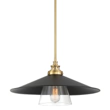 Segan 1 Light 20" Wide Pendant