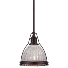 Dome 1 Light 8" Wide Mini Pendant with Ribbed Clear Glass Shade