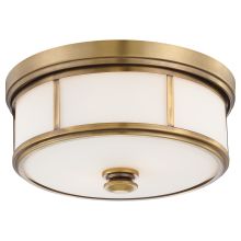 Harbour Point 2 Light 13-1/2" Wide Flush Mount Ceiling Fixture with Etched Opal Glass