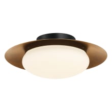 Zinola 15" Wide LED Semi-Flush Mount Ceiling Fixture with Etched Opal Glass