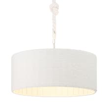 Lodelle 3 Light 19" Wide Pendant