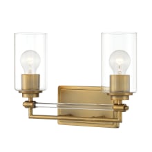 Binsly 2 Light 16" Wide Vanity Light with Clear Glass Shades