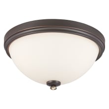 3 Light 15" Wide Flush Mount Ceiling Fixture from the Shadowglen Collection